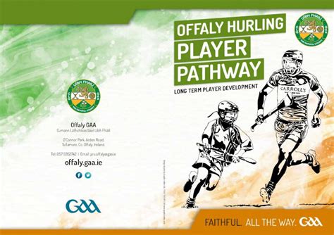 hurling betting tips|OFFALY HURLING PLAYER PATHWAY.